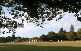 Cricket at Hammerwood