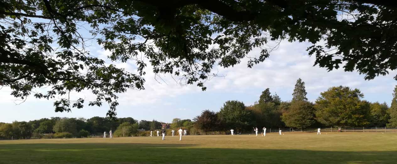 Cricket at Hammerwood